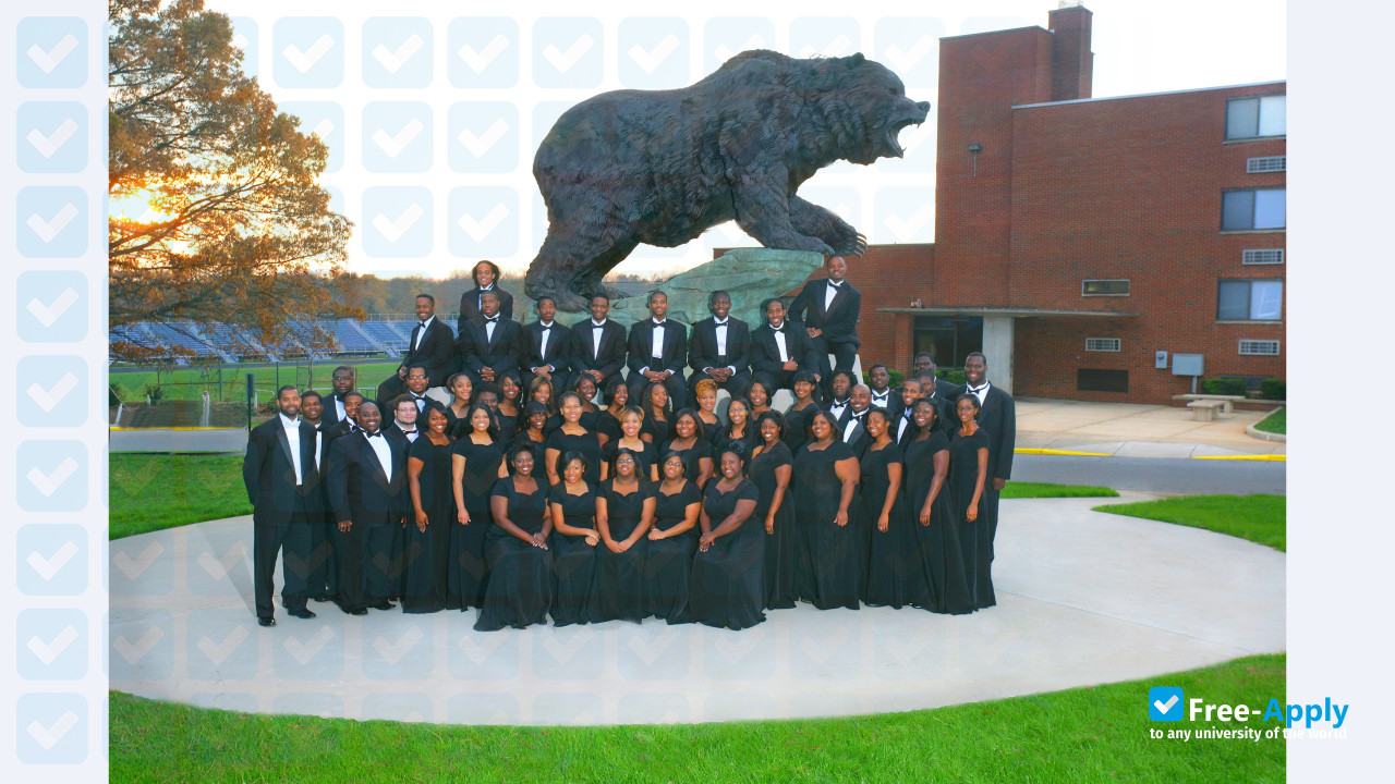 Livingstone College photo #16