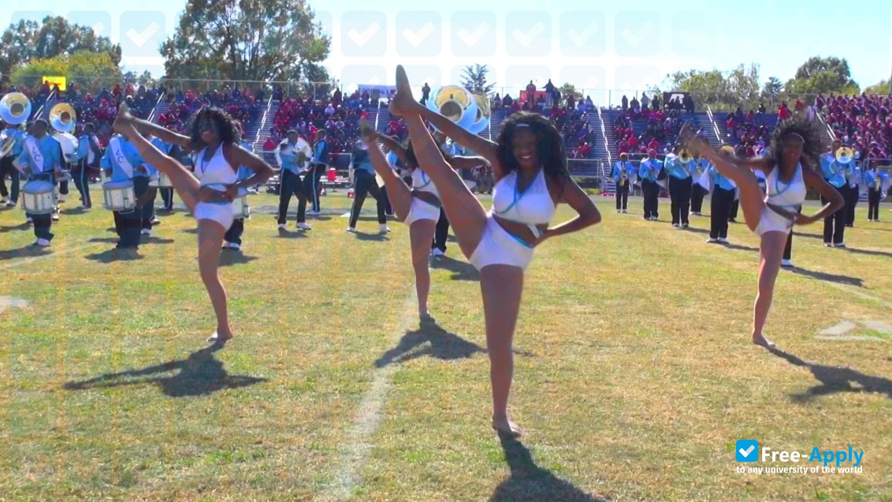 Livingstone College photo #2