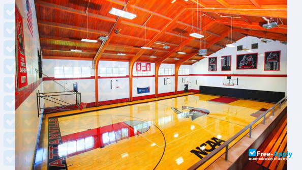 Foto de la Manhattanville College #5
