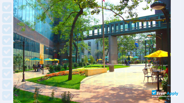 Long Island University photo #6