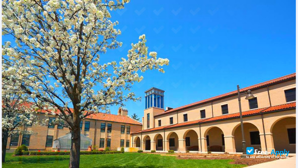 Lourdes University photo #5