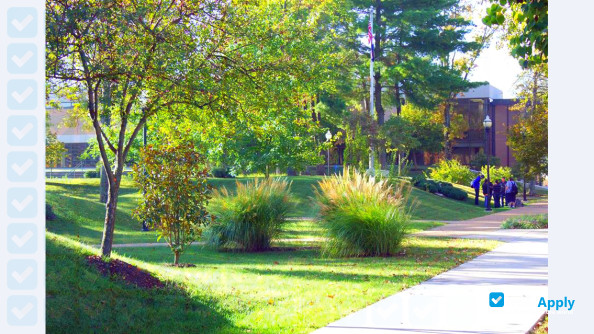 Mineral Area College photo #9