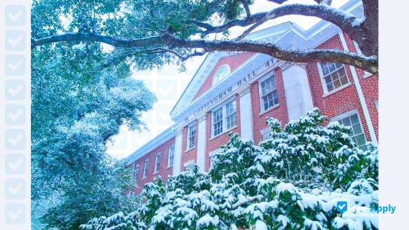 Louisiana College photo #8