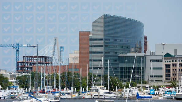 Medical University of South Carolina photo #4