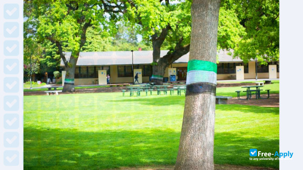 Menlo College photo #8