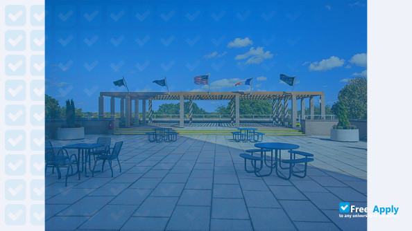 Plaza College фотография №9