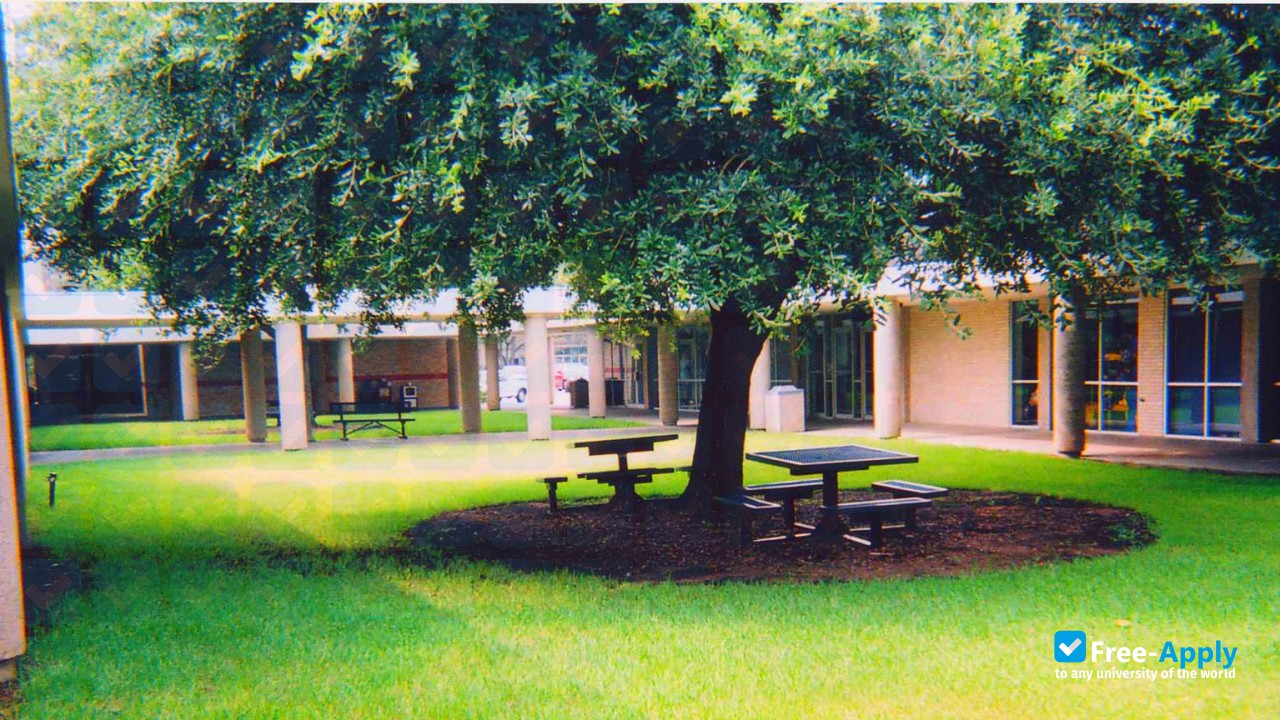 Photo de l’McNeese State University #12