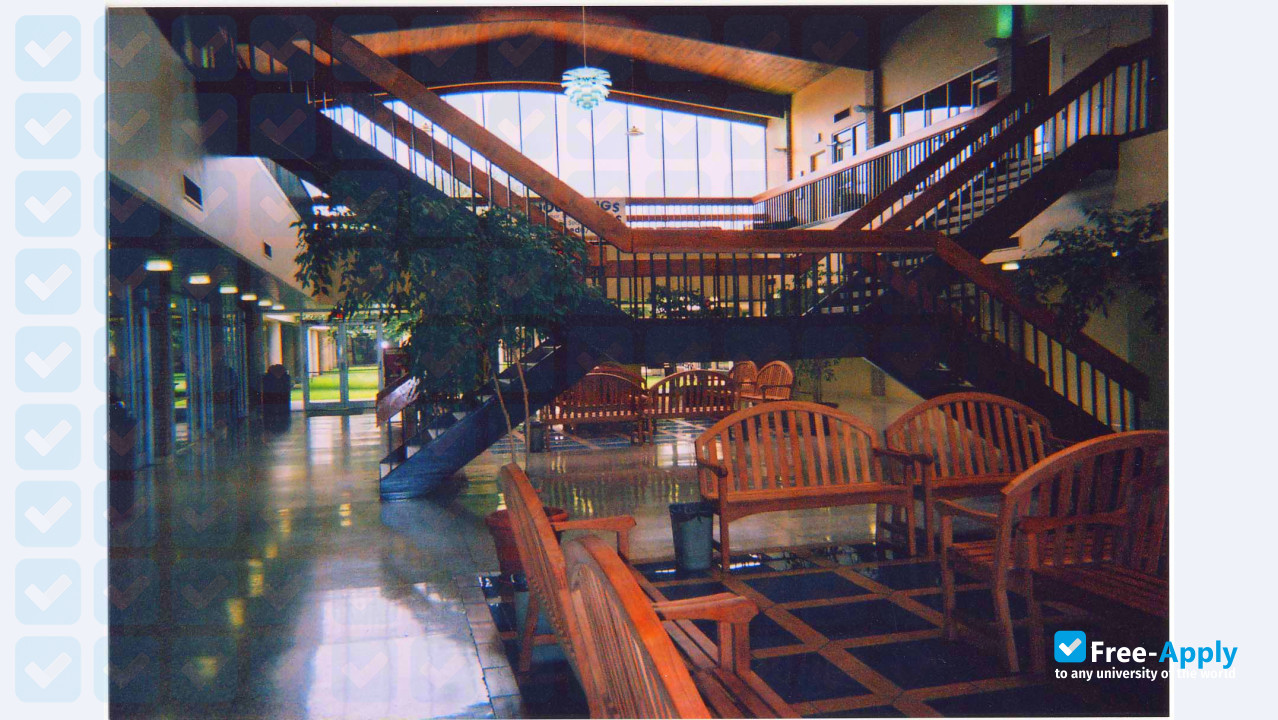 Photo de l’McNeese State University #13