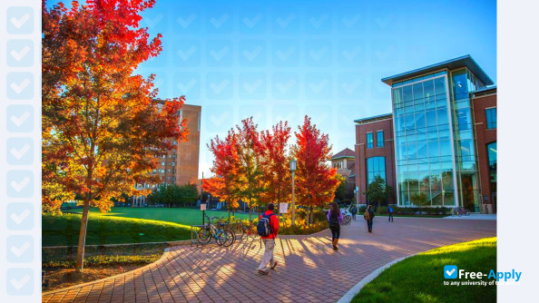 Loyola University Chicago photo #3