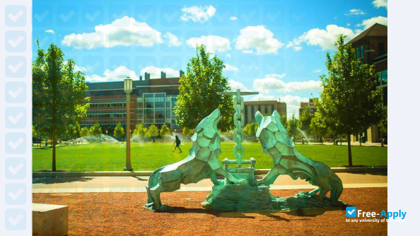 Loyola University Chicago photo #6
