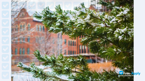 Foto de la Loyola University Chicago