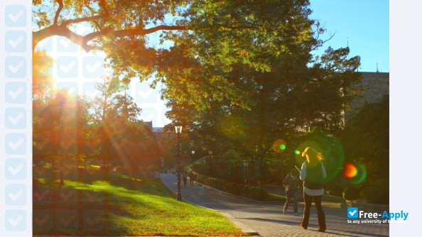 Foto de la Loyola University Maryland #5