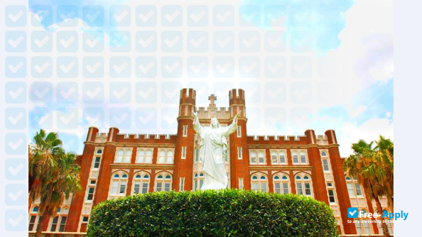 Loyola University New Orleans photo #8