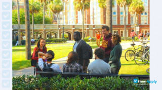 Loyola University New Orleans thumbnail #3