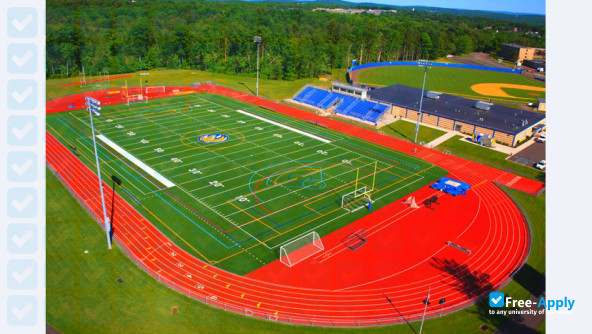 Misericordia University photo #8
