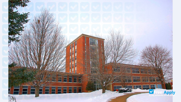 Luther College (Iowa) фотография №4
