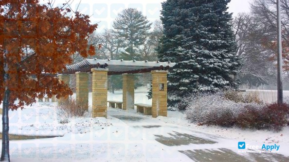 Luther College (Iowa) фотография №9