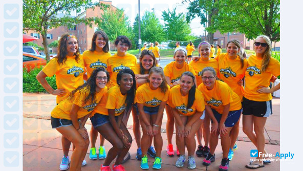 Lycoming College photo #8
