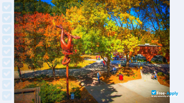Minnesota State University Moorhead фотография №6