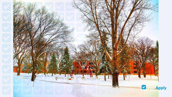 Minnesota State University Moorhead фотография №11