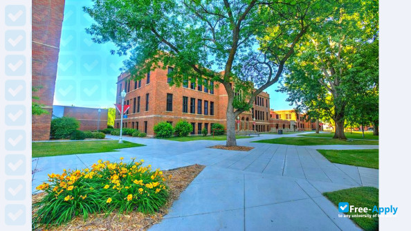 Minnesota State University Moorhead фотография №5