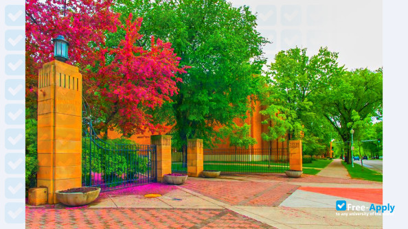Minnesota State University Moorhead фотография №8