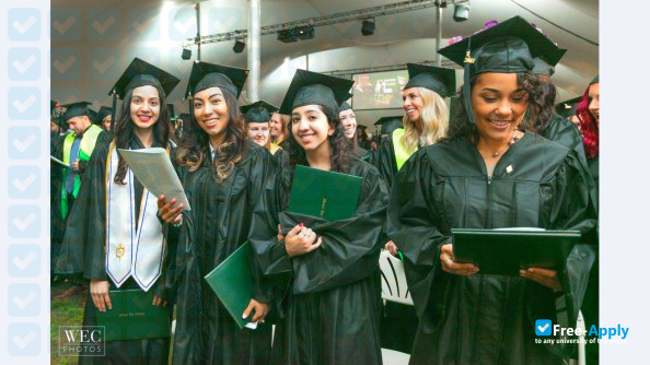 Mount Ida College photo #11