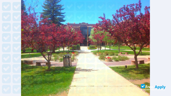 Minot State University photo