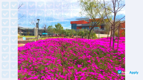 San Diego Miramar College photo