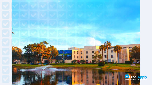 Lynn University photo #3