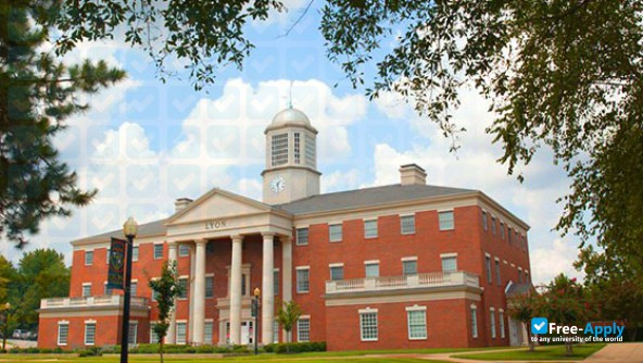 Lyon College photo #7
