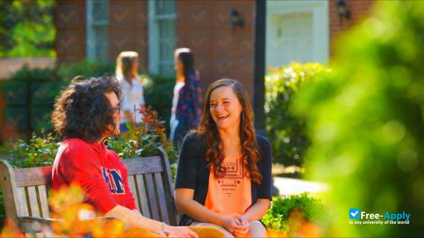Lyon College photo #4