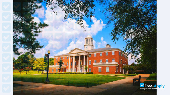 Lyon College photo #9