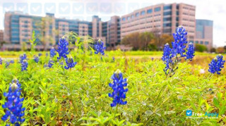 University of Texas MD Anderson Cancer Center thumbnail #5
