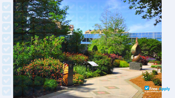 University of Texas MD Anderson Cancer Center photo #6