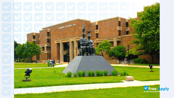 Northeastern Illinois University photo #8