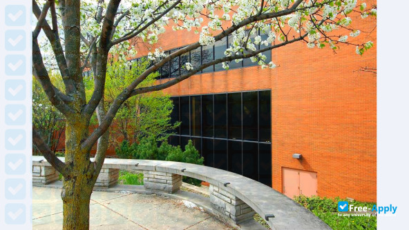 Northeastern Illinois University photo #12
