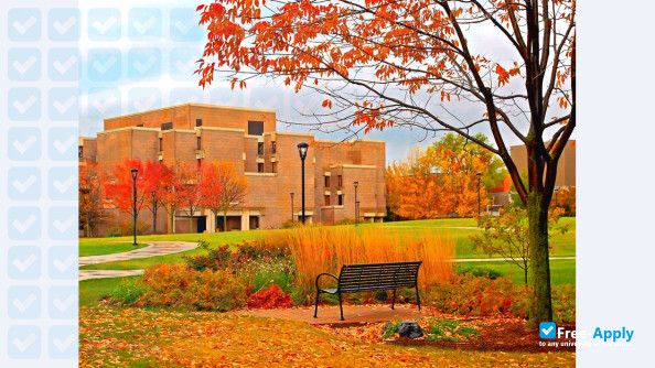 Northeastern Illinois University photo #11