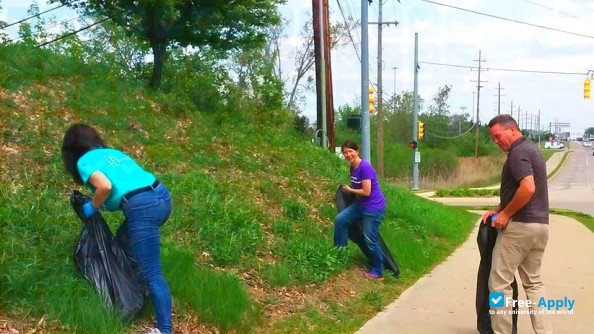 Michigan School of Psychology photo #10