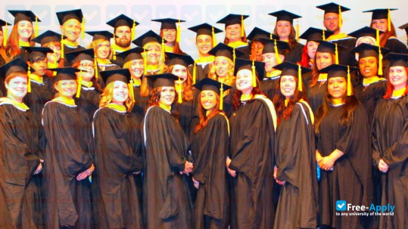 Michigan School of Psychology photo #1