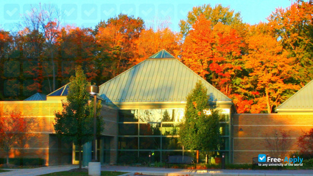 Michigan School of Psychology photo #4