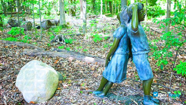 Michigan School of Psychology photo #7