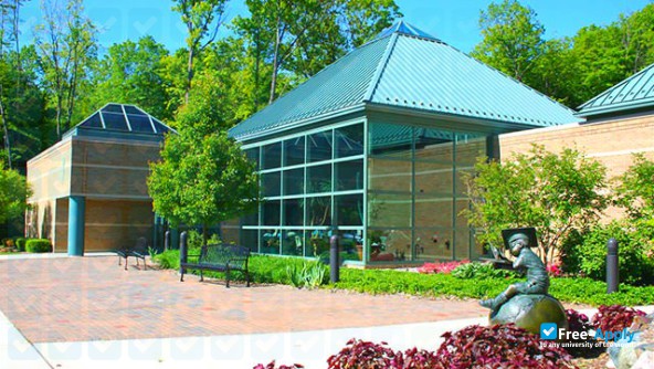 Michigan School of Psychology photo #7