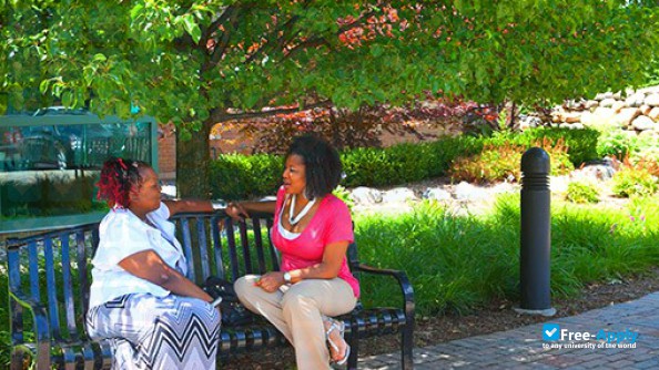 Michigan School of Psychology photo #5