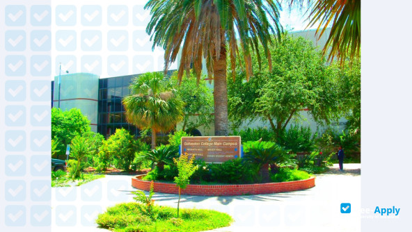 Galveston College photo #5