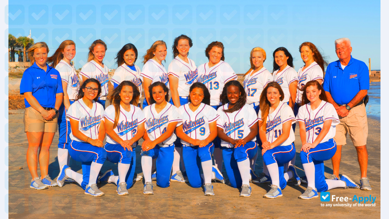 Galveston College photo #6