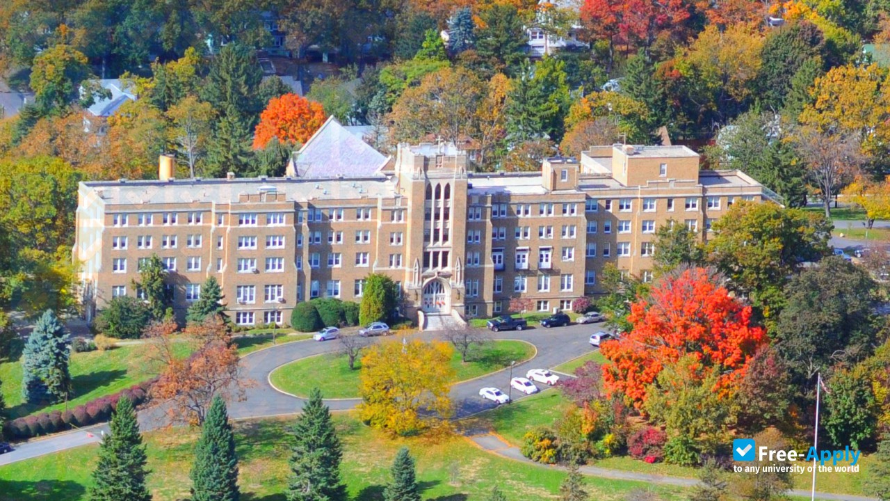 Photo de l’Mount Saint Mary College #12