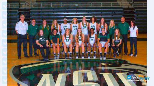 Northeastern State University photo #34