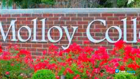 Photo de l’Molloy College #4