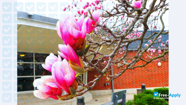Photo de l’MacMurray College #7